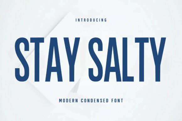Stay Salty Bold Display Font for Modern Web Design